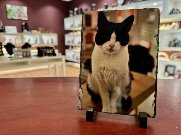 Leisteen met foto - Afbeelding 4