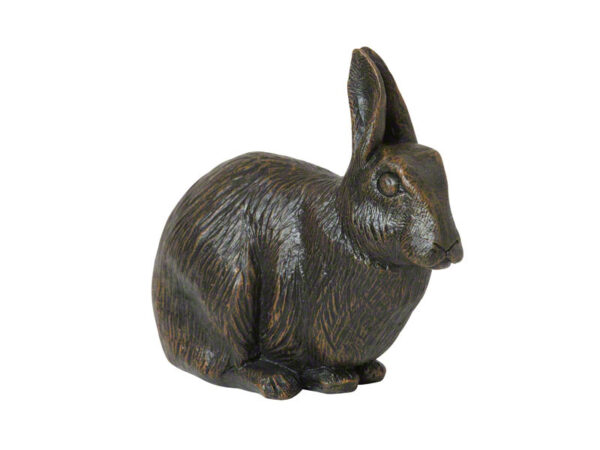 Rabbit On Book - Afbeelding 2