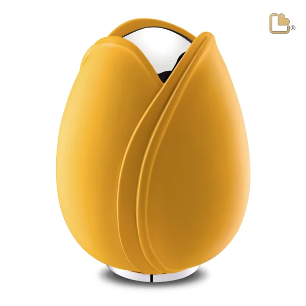 Tulip™ Yellow - Afbeelding 2