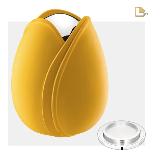 Tulip™ Yellow - Afbeelding 4