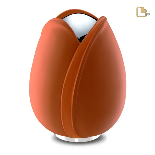 Tulip™ Orange - Afbeelding 2