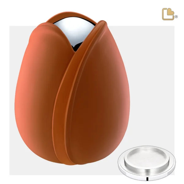Tulip™ Orange - Afbeelding 5