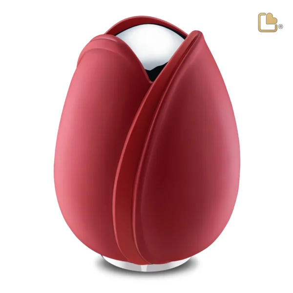 Tulip™ Red - Afbeelding 2