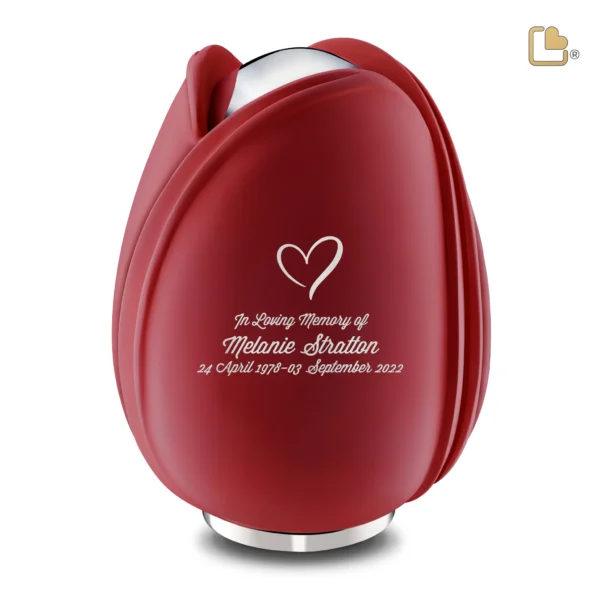 Tulip™ Red - Afbeelding 3