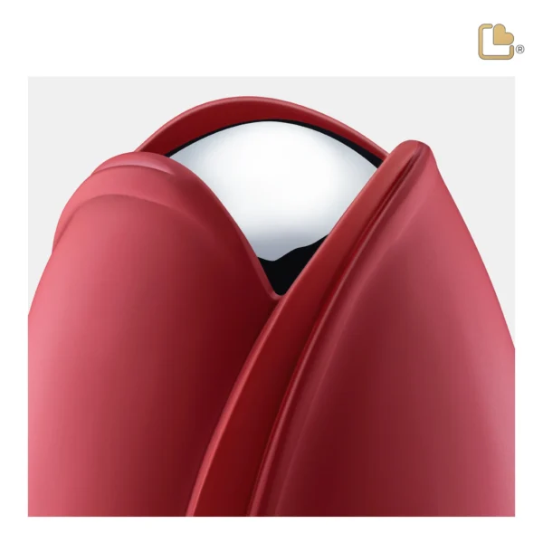 Tulip™ Red - Afbeelding 5