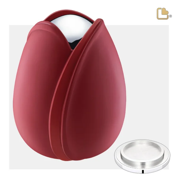 Tulip™ Red - Afbeelding 4