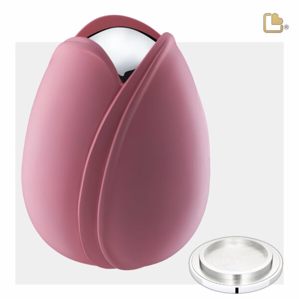 Tulip™ Pink - Afbeelding 4