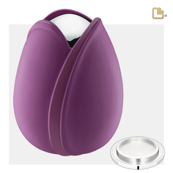 Tulip™ Purple - Afbeelding 4