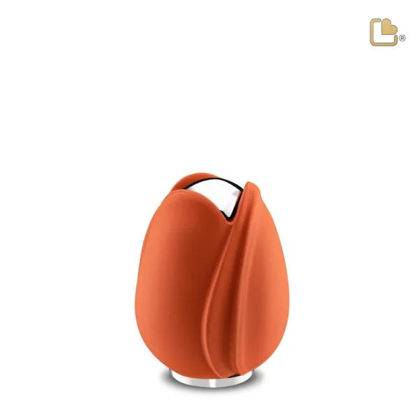 Tulip™ Orange - Afbeelding 6