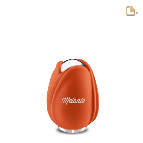 Tulip™ Orange - Afbeelding 7