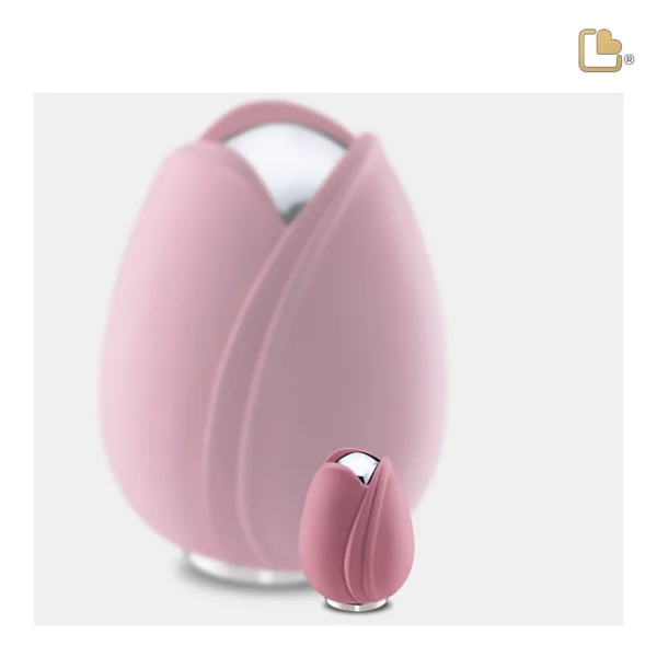 Tulip™ Pink
