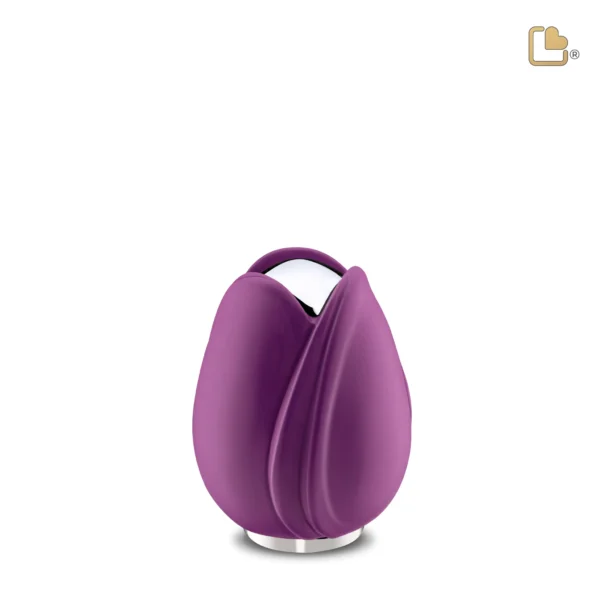 Tulip™ Purple - Afbeelding 7