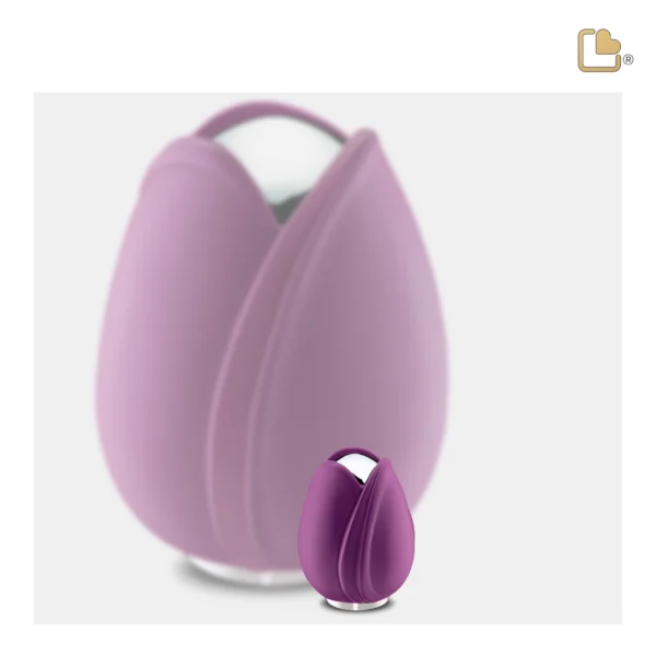 Tulip™ Purple