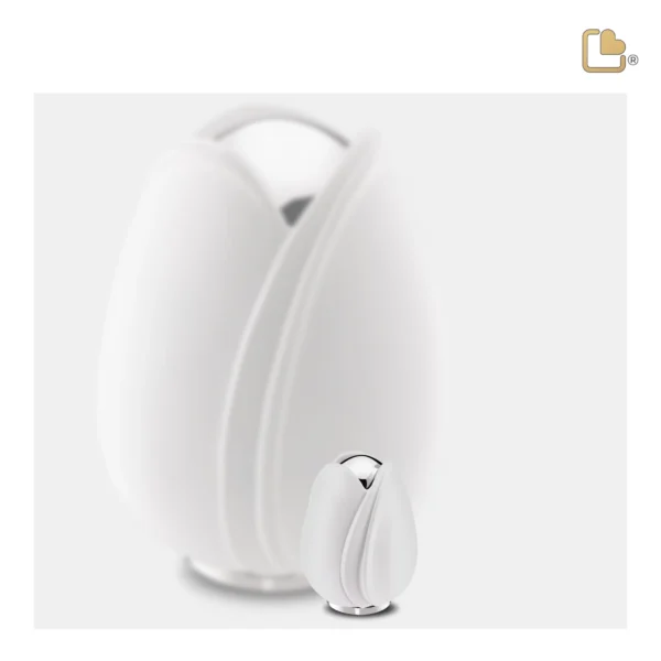 Tulip™ White