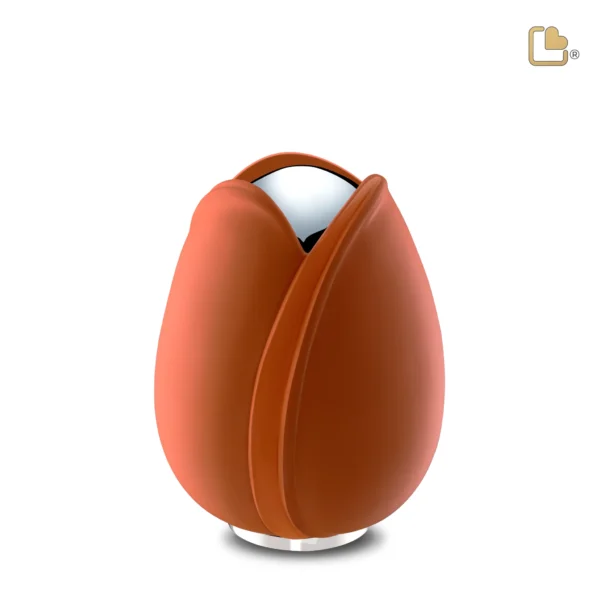 Tulip™ Orange - Afbeelding 9