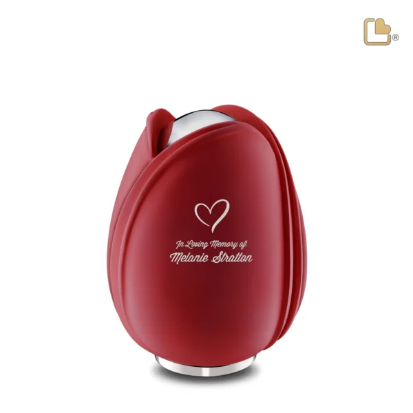 Tulip™ Red - Afbeelding 7