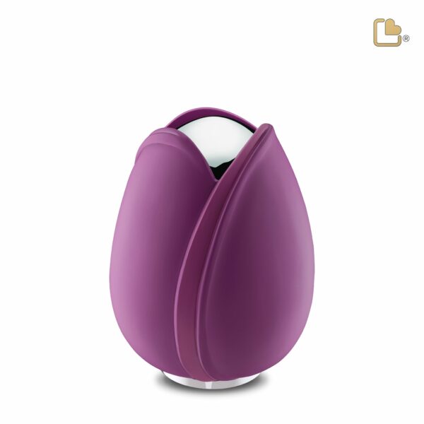 Tulip™ Purple - Afbeelding 5