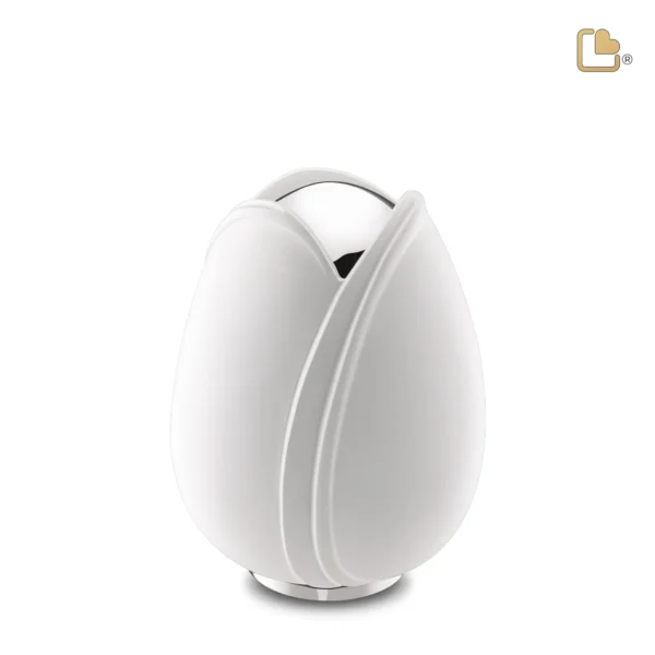 Tulip™ White - Afbeelding 6