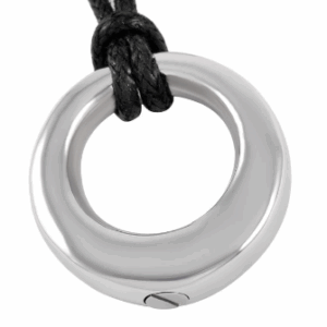 RVS Ring aan koord